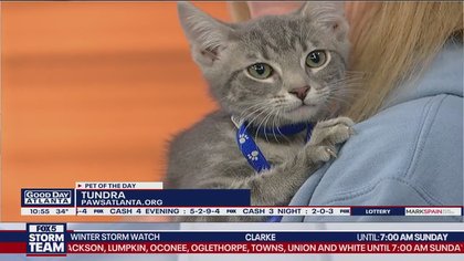 Pet of the day