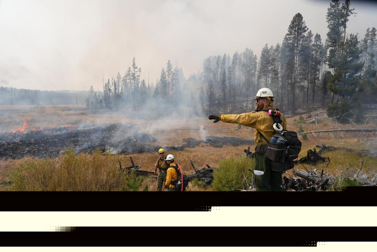 Idaho firefighter dies working prescribed burn