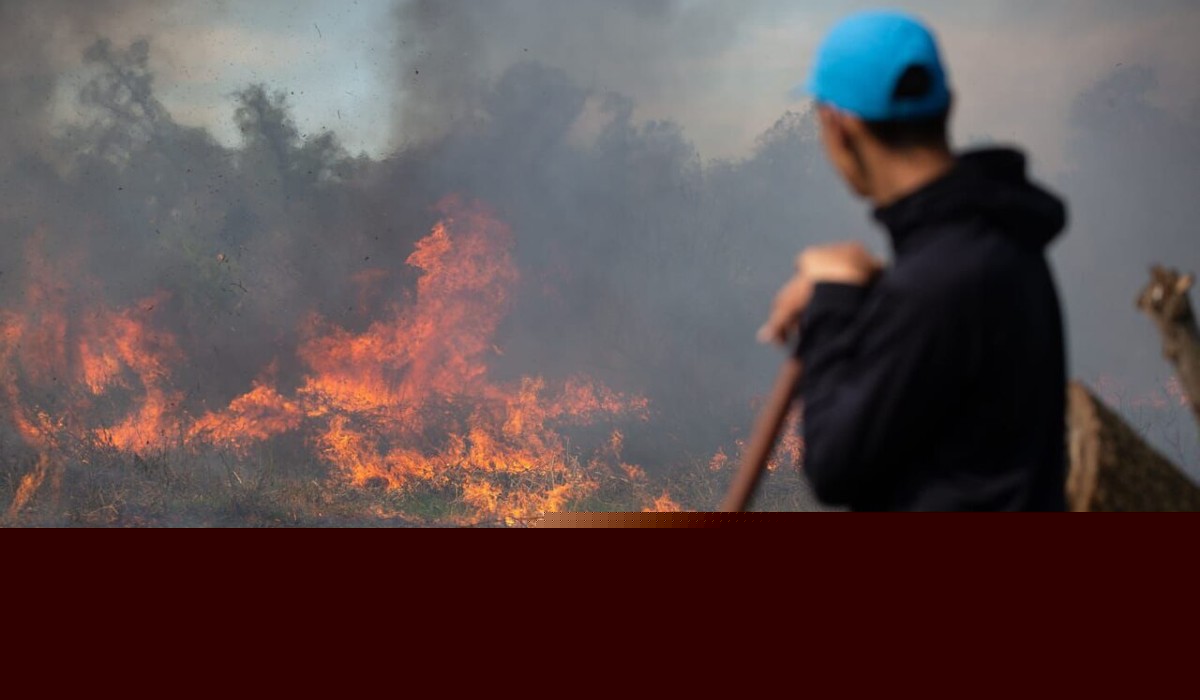 While Burnham fiddles the country burns – pass this emergency motion and demand action