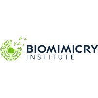 The Biomimicry Institute: Case Studies Show What Fashion’s Circularity Conversation Is Missing