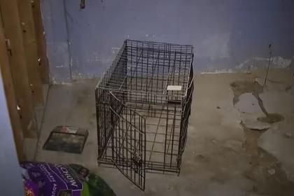 Caged Dog and Exotic Animals Left to Rot in Vacant Detroit House