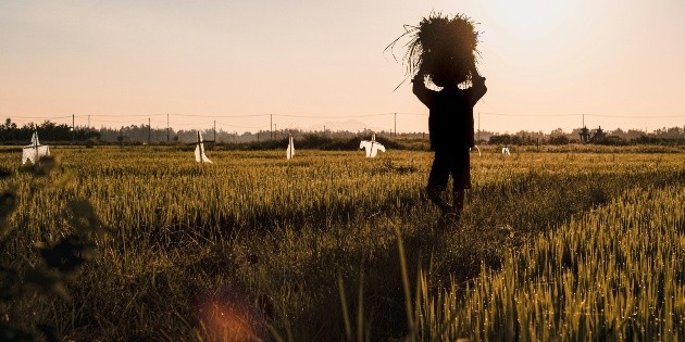 El Niño podría deteriorar las condiciones laborales en América Latina, según la OIT
