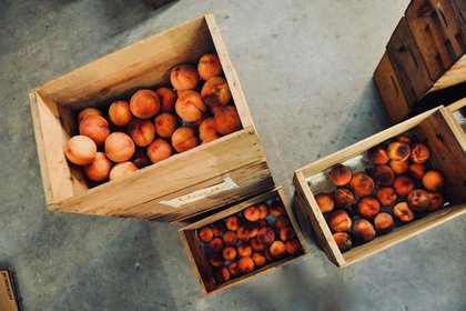 Fruit export boom: How SA fresh produce is travelling further than ever