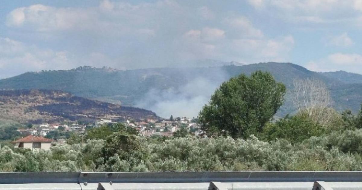 Πυρκαγιά σε δάσος στο Κομπότι Άρτας
