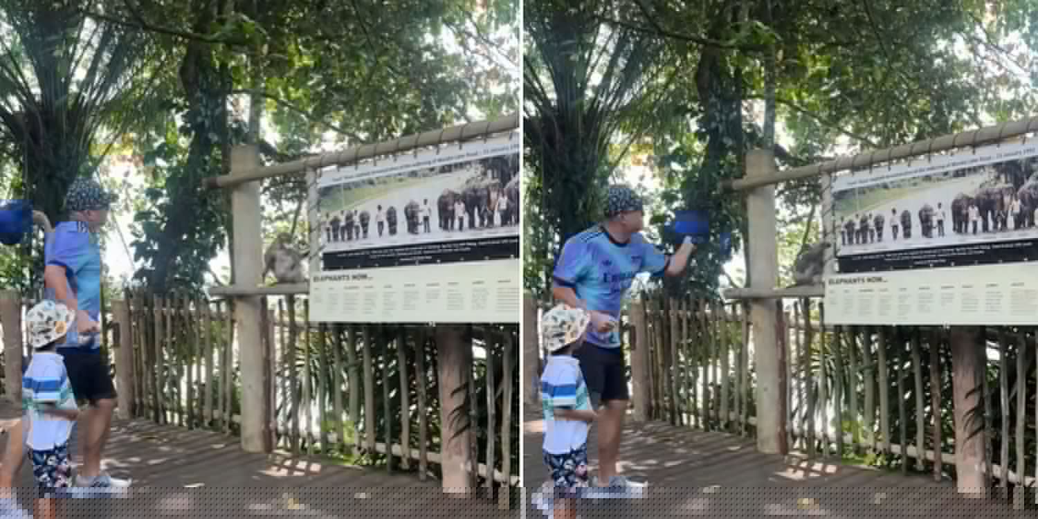 Man swings bag at monkey in Mandai Wildlife Reserve after it allegedly steals his son’s food