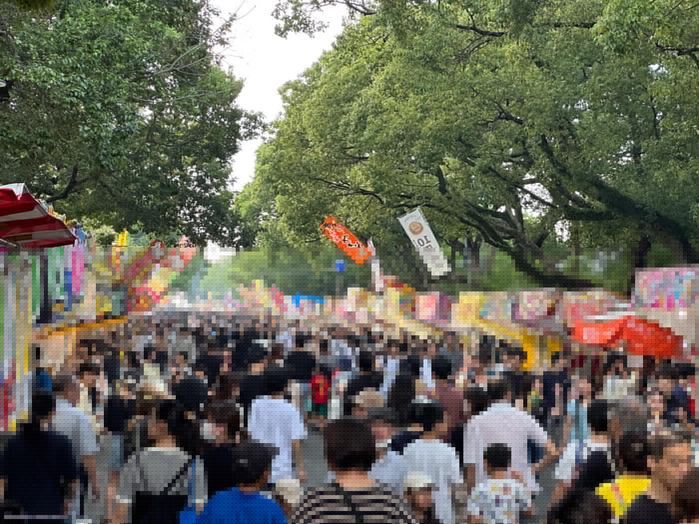Hojoya Festival Guide 2025