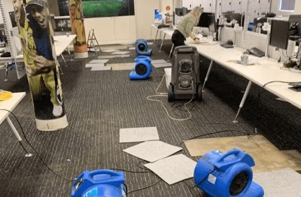 How Do Professional Water Damage Restoration Services Help Businesses Save Time and Money?