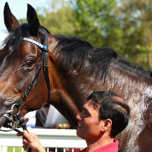 Rankings Race Trends: Day 5 at Goodwood