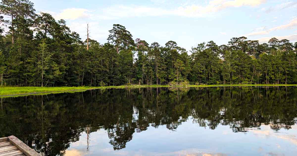 The Gorgeous State Park In Louisiana That Will Make You Feel Like You’re In A Living Postcard