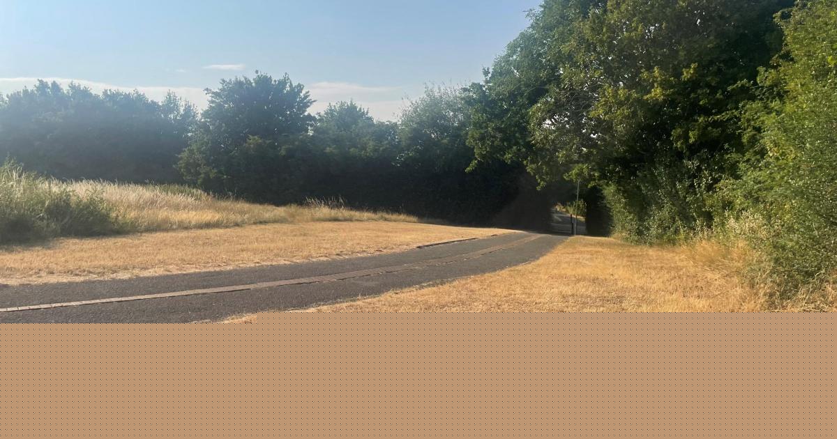 Scorching temperatures prompts amber health alert across Worcestershire