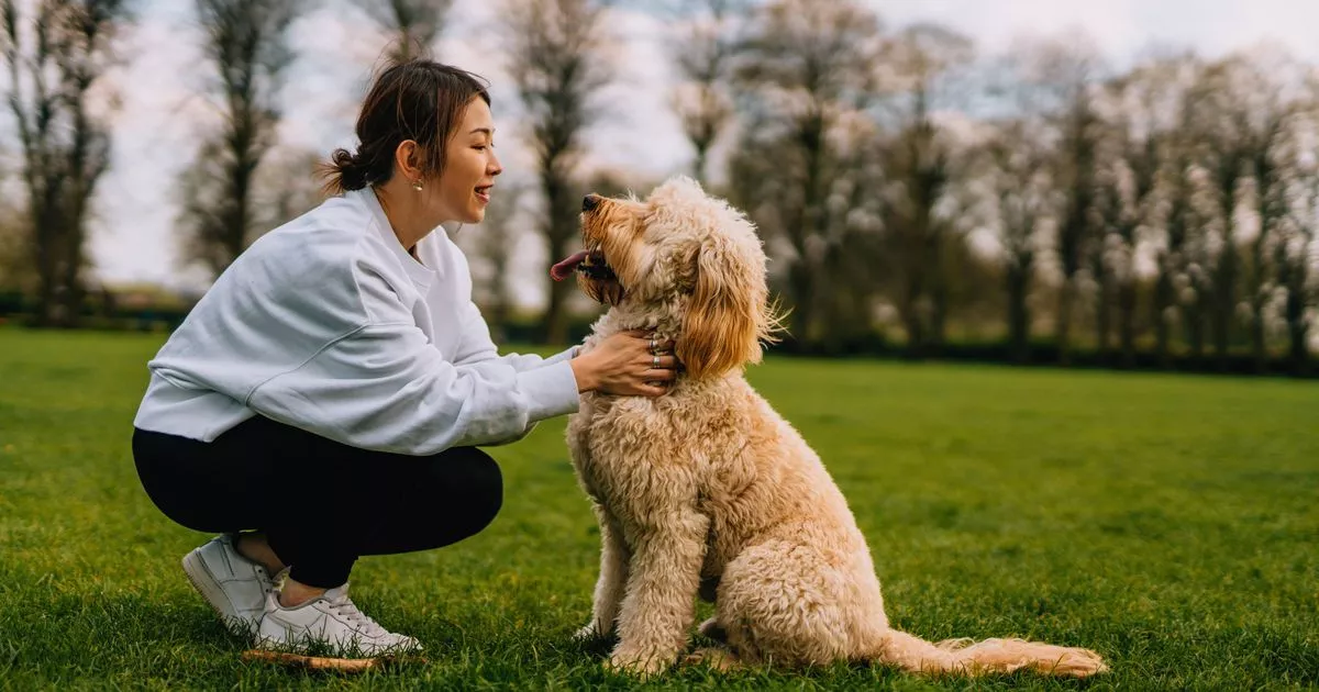 Dog training expert shares 'simple' trick to get pets to 'always come' when called
