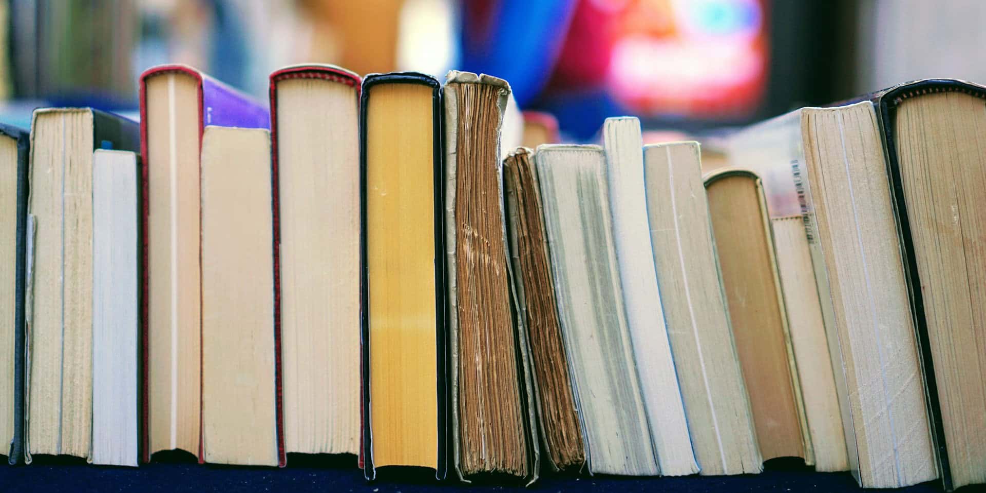 Isle of Wight Book Awards to celebrate local talent at prize-giving lunch