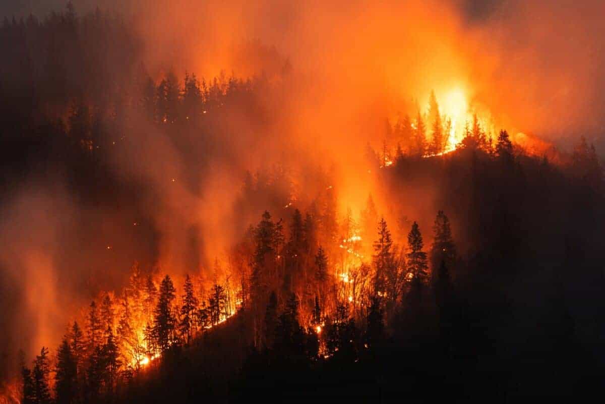 Where there’s smoke, there’s fire over R1.8bn wildfire tender