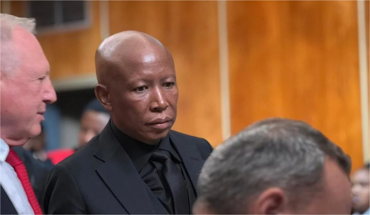 Julius Malema Found Guilty of Firearms Violation in 2018 Rally Case