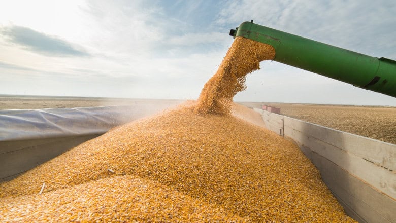 Reuters: Ucraina ar putea transporta cerealele pe cale ferată prin Moldova până în Portul Constanța
