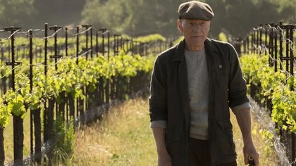 Patrick Stewart Shares Which Role He Wants Fans To Remember