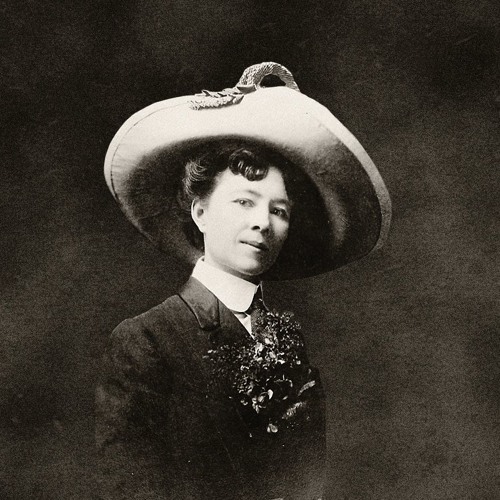 The Petticoat Rebellion Of 1916