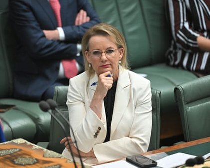 Sussan Ley unveils all-Liberal interim shadow cabinet and gives Nationals an ultimatum