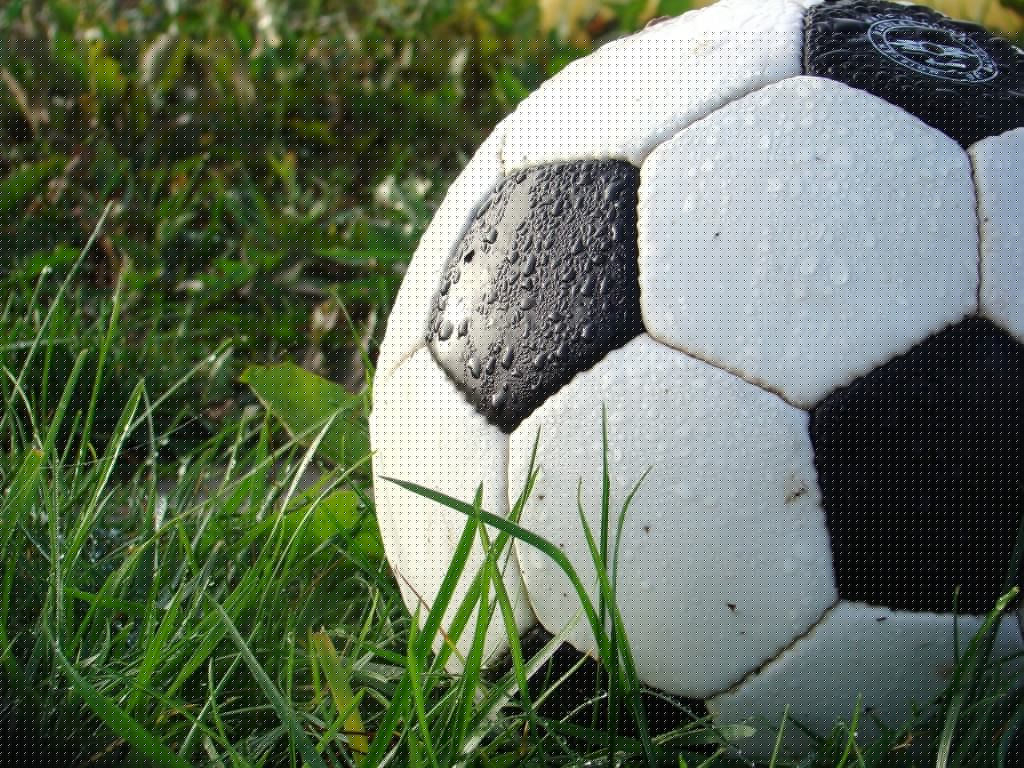 Girls soccer: Mount Academy remains unbeaten