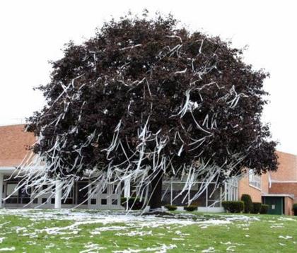 Iowa Town Bans Homecoming ‘TP-ing’ Tradition, Cite Harassment Concerns