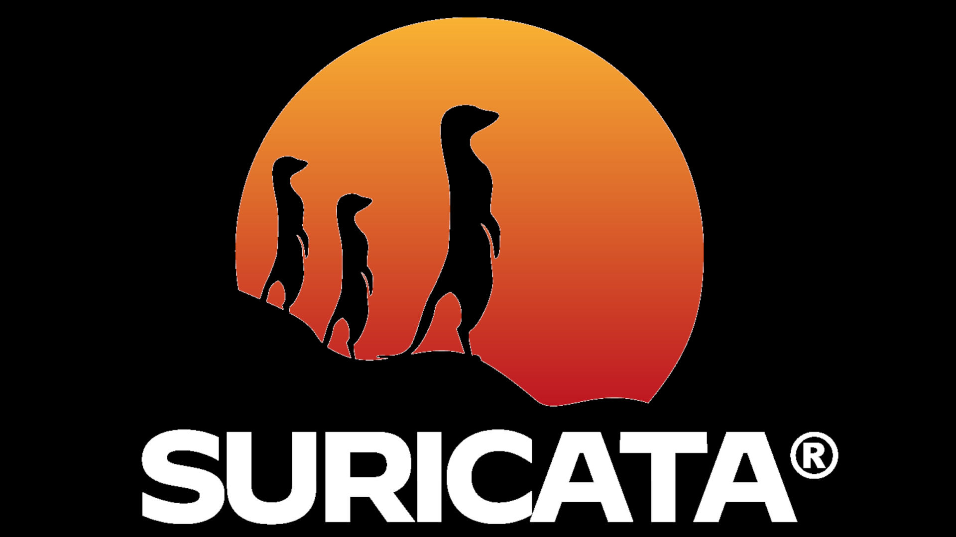 Open Source Foundations with Kelley Misata of Suricata