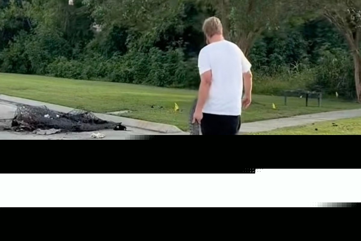 Video of Louisiana Man's Way Too Calm Gator Relocation Goes Viral