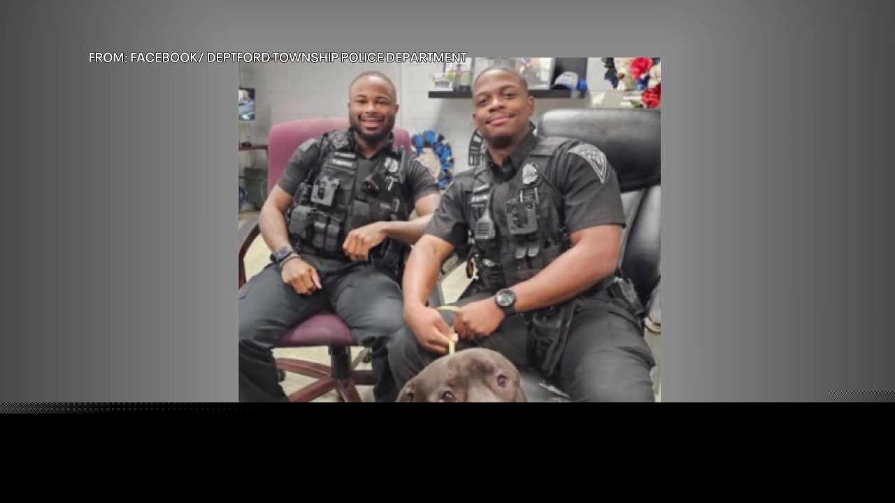 Deptford police officers go viral while reuniting missing dogs with owners