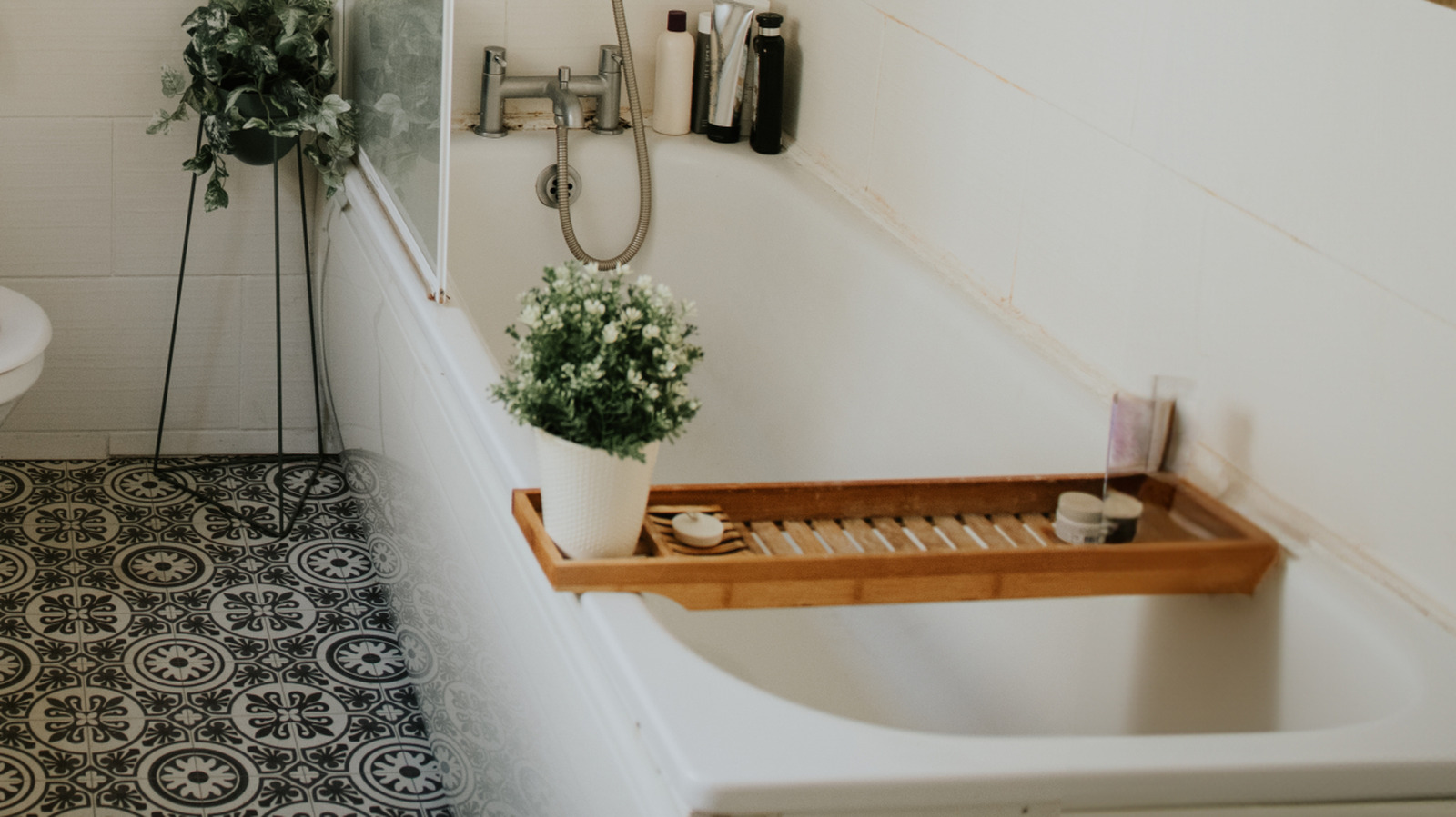 The Common Houseplant That Will Thrive In Your Steamy Bathroom