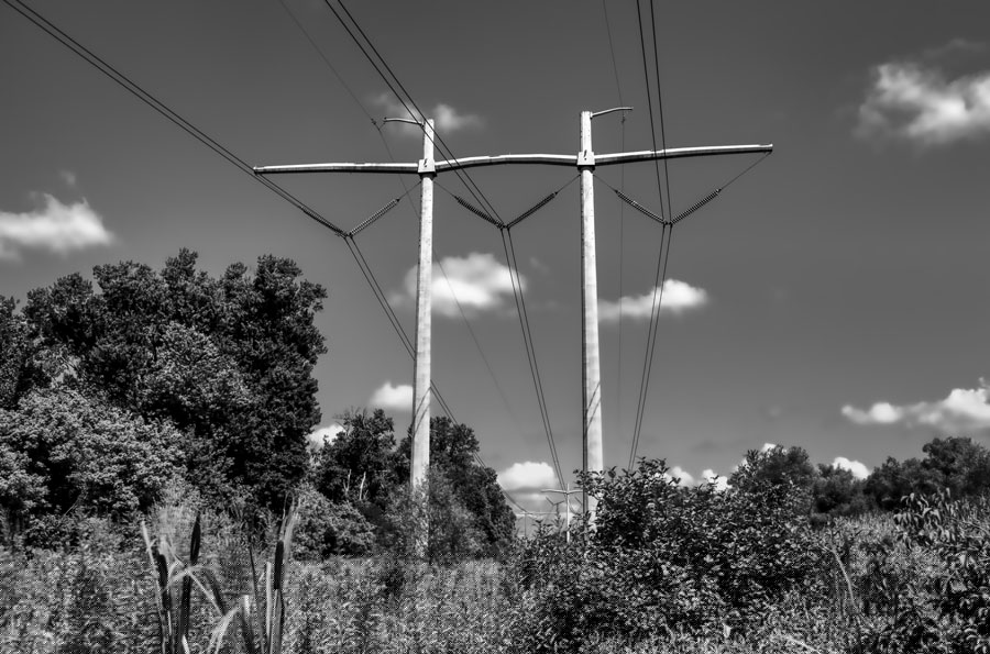 Photo of the Week: Power Lines