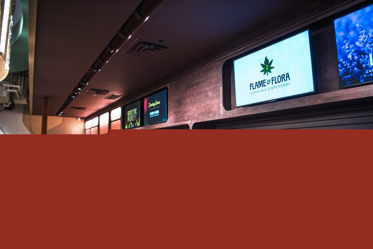 Finding Quality and Community at a Local Cannabis Dispensary