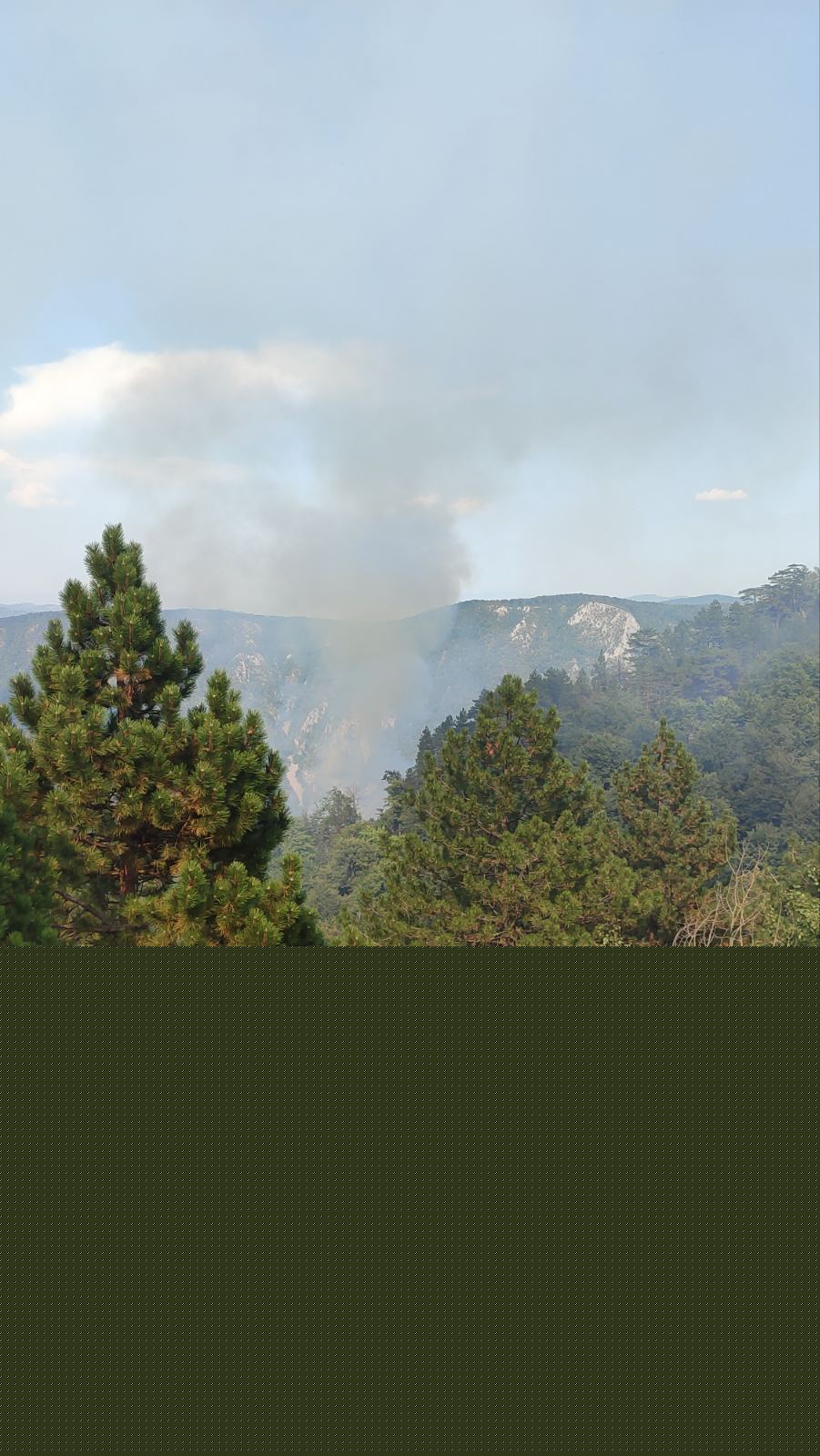Wildfire burns one hectare of forest near Kladanj