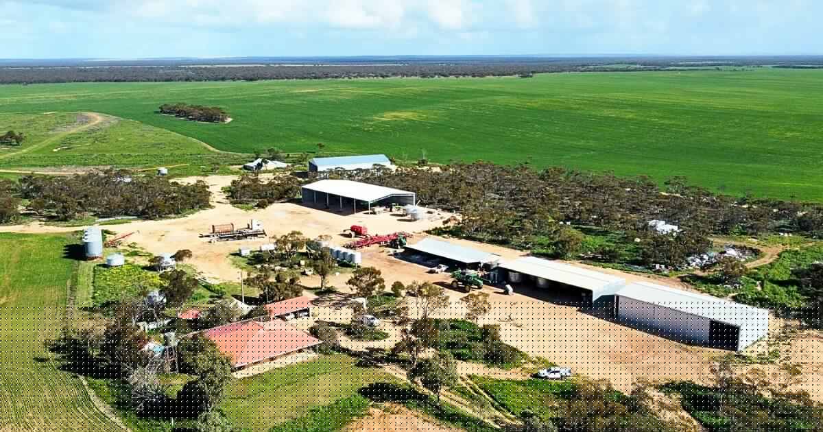 Buyer's choice | Two large cropping properties join sales market together