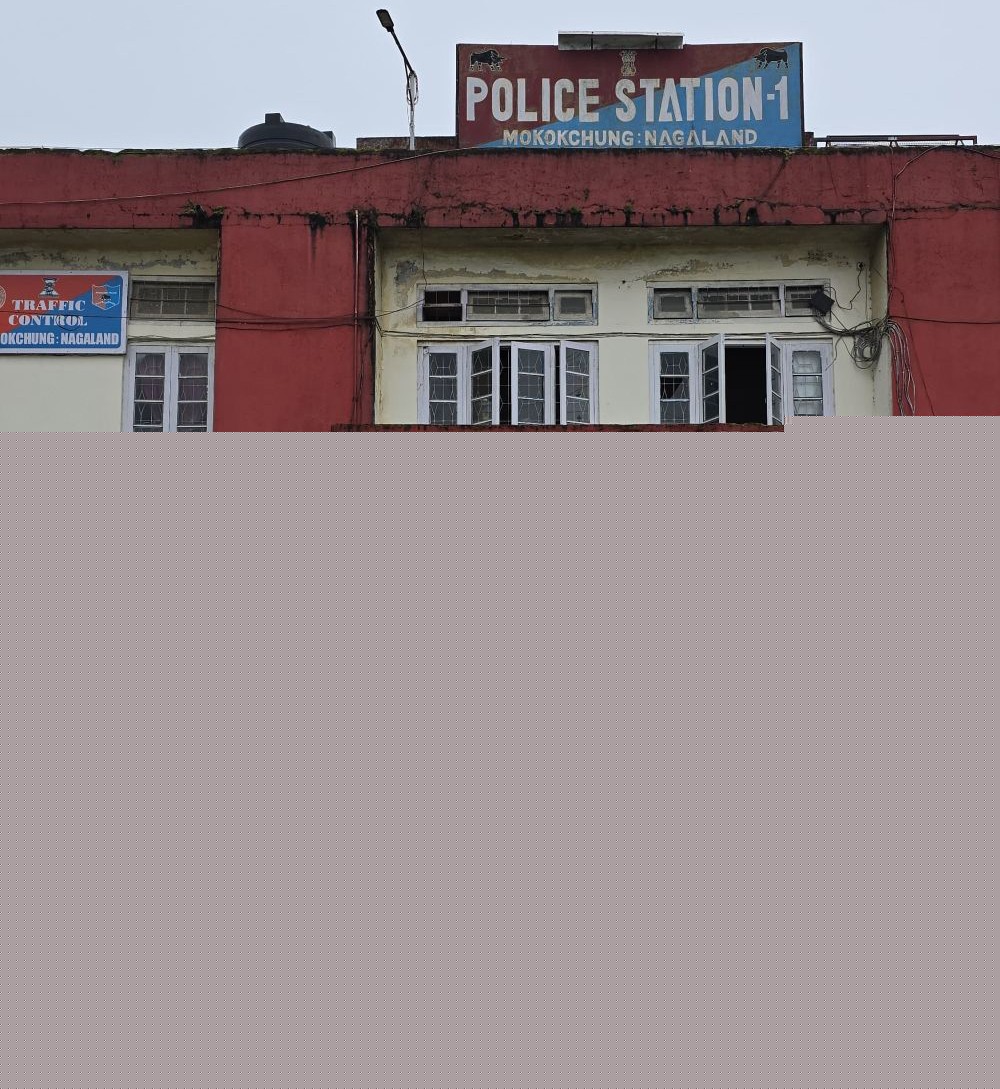Mokokchung marks anti-human trafficking day, holds exposure trip for children