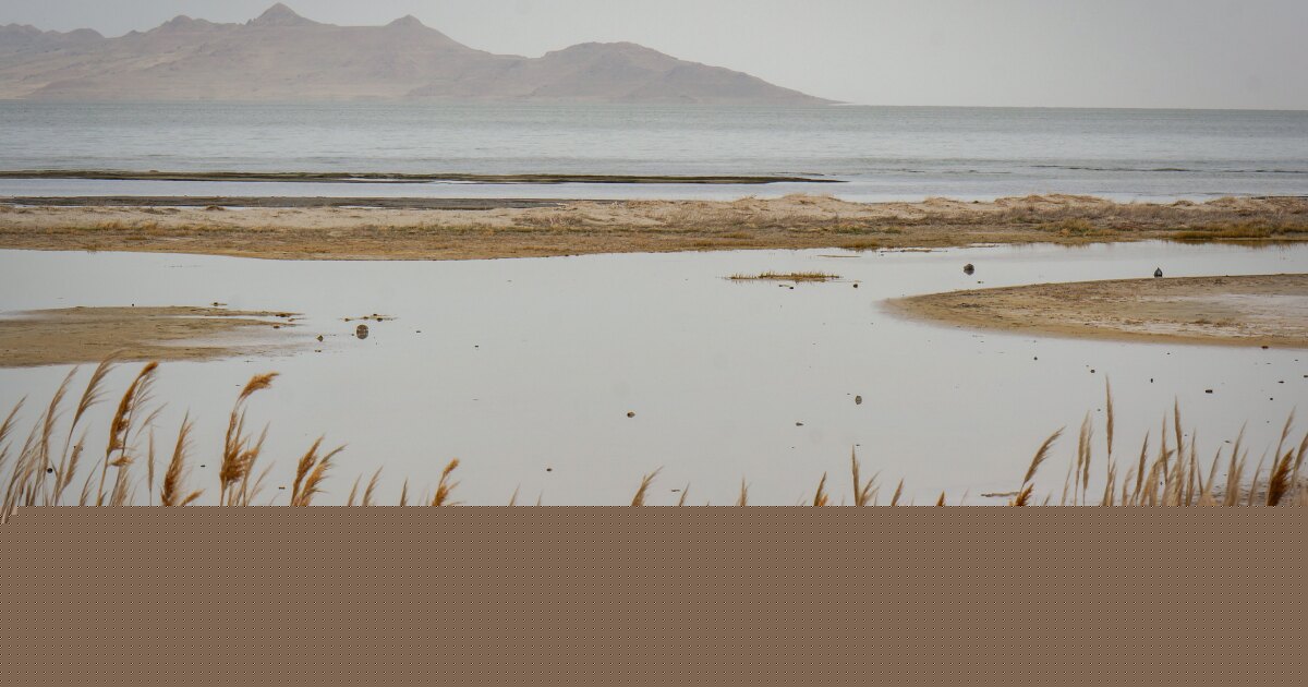 Great Salt Lake commish eager to tap new water law to bolster the lake