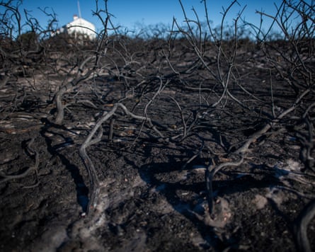 ‘These are human fires, not wildfires’: Dunwich reflects on the devastation