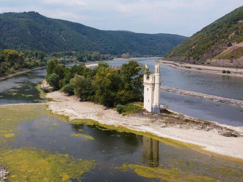 Drying up: Rhine could be 'split in two' by low water