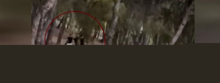 Νέο επικίνδυνο challenge μεταξύ ανηλίκων: Βάζουν φωτιά σε δάση και μετά προσπαθούν να τη σβήσουν (Βίντεο)