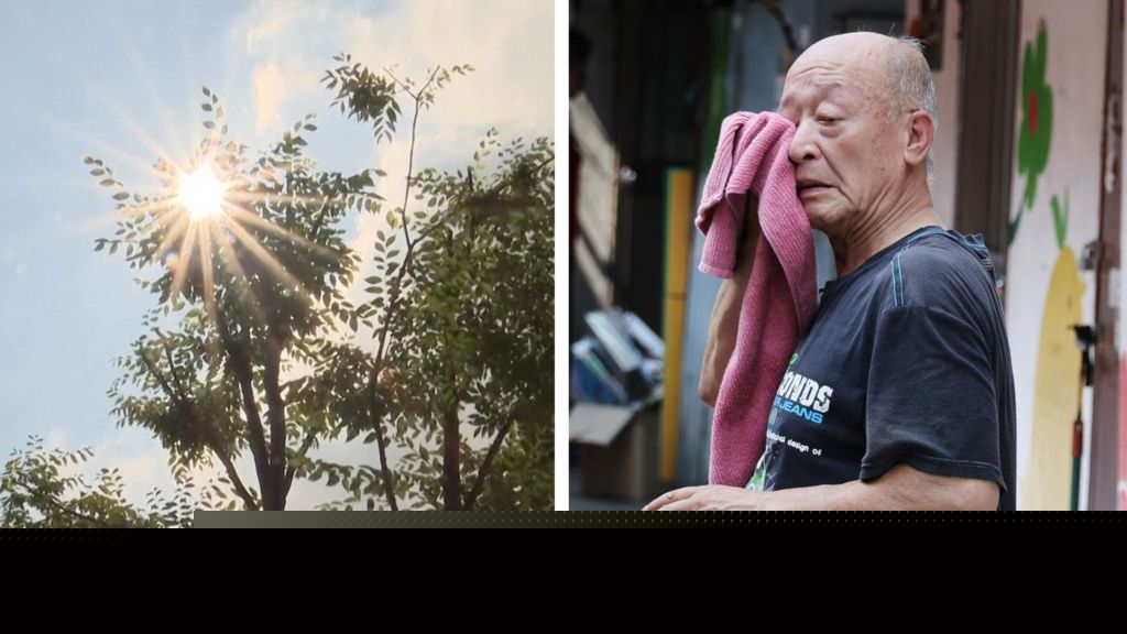 Record heatwave in South Korea as temperatures soar to 42.5C