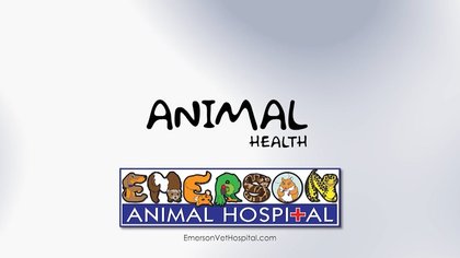 Animal Health (M.P.L) – 10/02/25