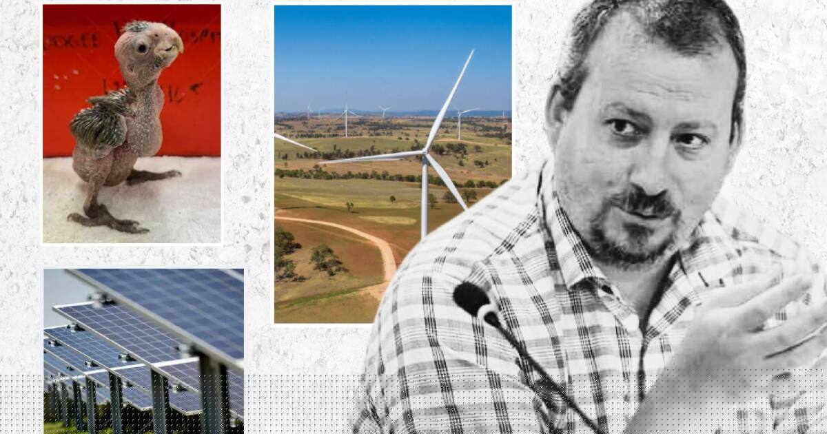 Left to manage the consequences: why councils and farmers are demanding a REZ reboot