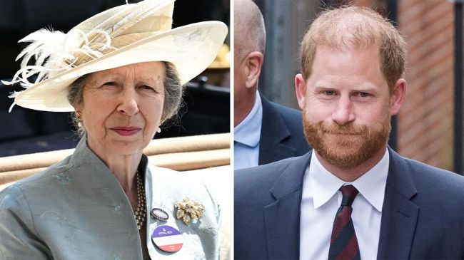 Anne Just Seemingly One-Upped Harry After He Accused the Royals of Trying to ‘Sabotage’ His Reconciliation With Charles