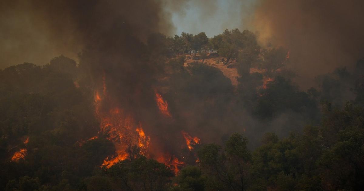Μεγάλη πυρκαγιά στη Λέσβο – Μήνυμα του «112» για εκκένωση του Πλωμαρίου (Videos&Photos)