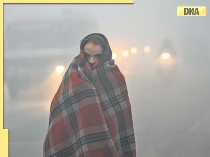 Delhi-NCR weather: Cold wave intensifies, AQI remains 'poor'; yellow alert issued; check IMD forecast