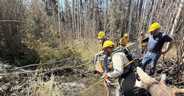 Biologists rescue rare native fish from wildfire