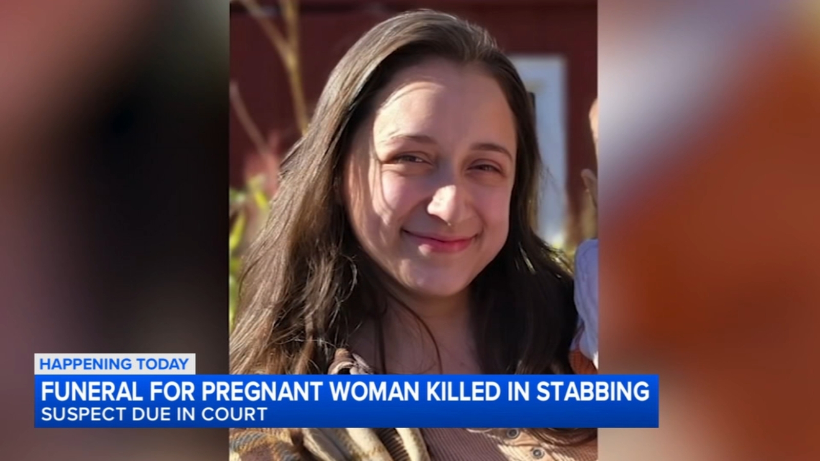 Man accused of stabbing pregnant woman 70 times Downers Grove due in court