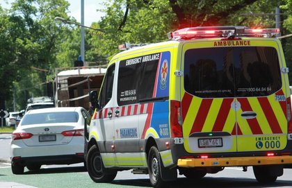 Four seriously injured after dog attack
