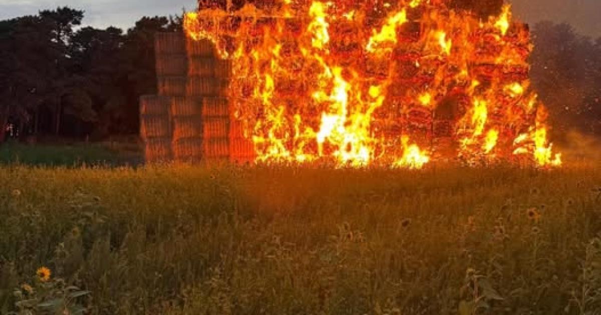 Farmers forgives young arsonists over 200 tonne haystack blaze