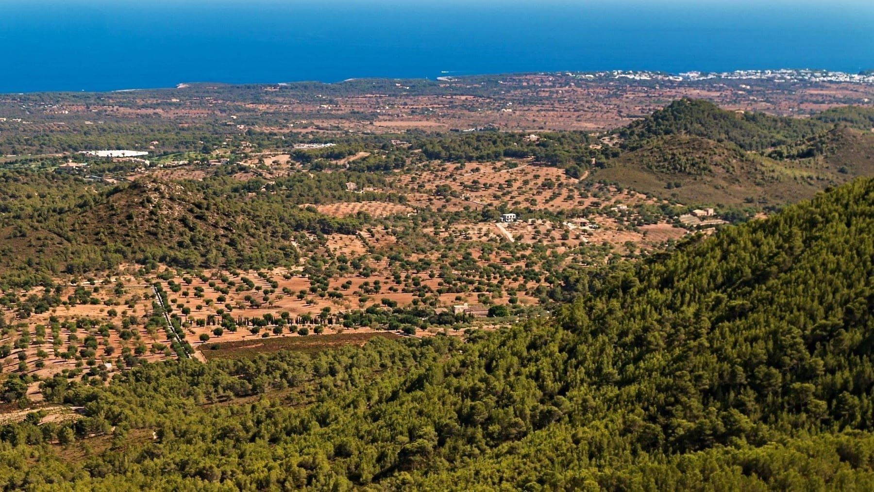 Así protege el Mapa Forestal de las Islas Baleares los bosques frente al fuego, la sequía y el calor extremo