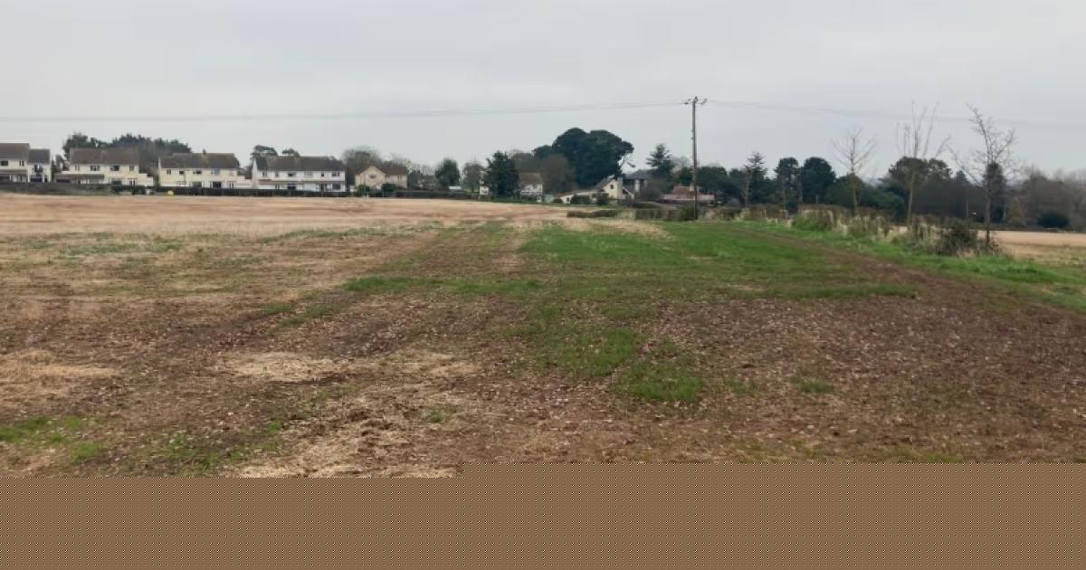 48 new council houses to be built near Hinkley Point C in £7.5m deal