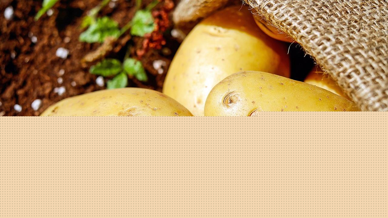 August: The Make-Or-Break Month For Potato Weight